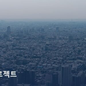 "혼자 하니까 안 되더라고요" — 큐텐 재팬 2개월 밀착 프로젝트